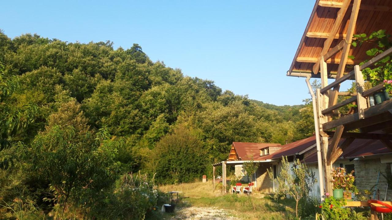 Ferma Albanik Hotel Kelcyre Luaran gambar